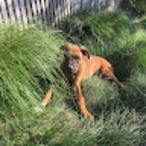 Meet your Posher, Jack